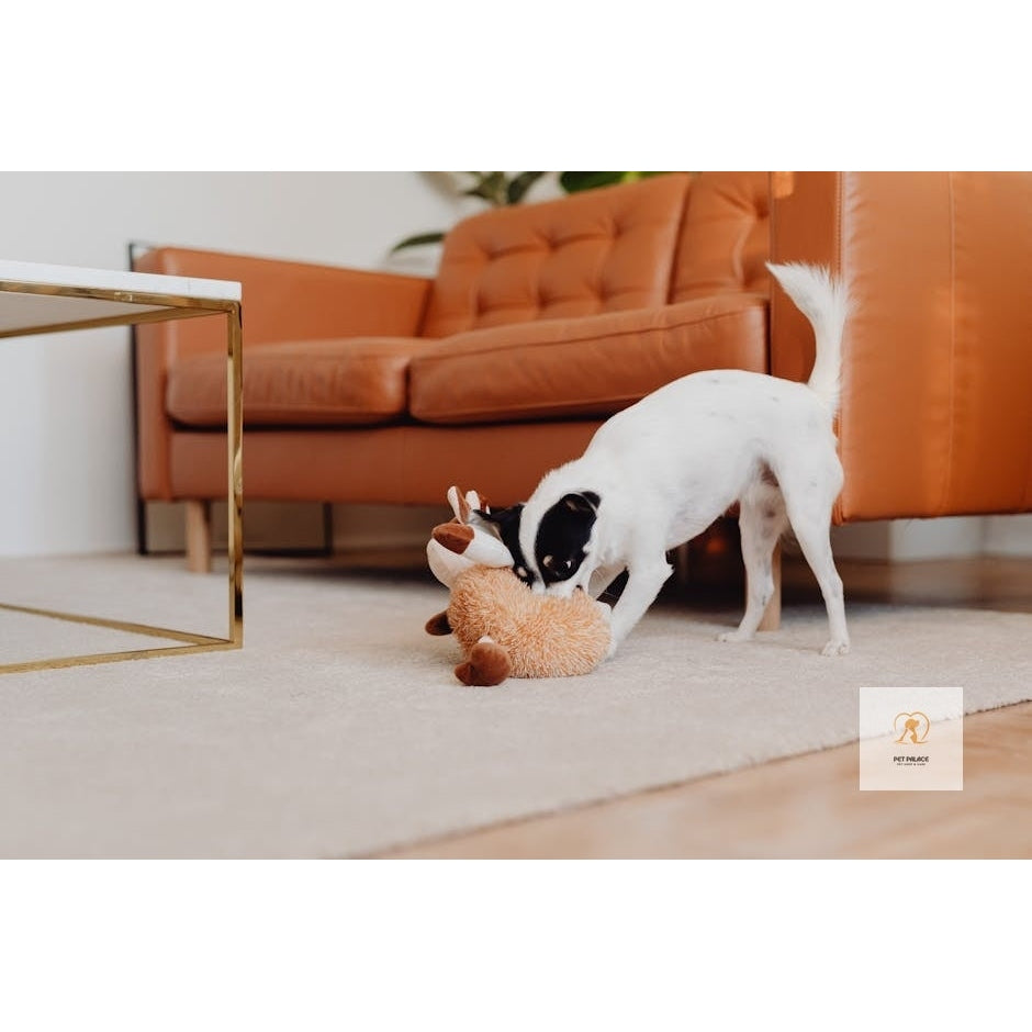 Interactive and Durable: The Best Dog Toys for Tough Play Pet palace shop