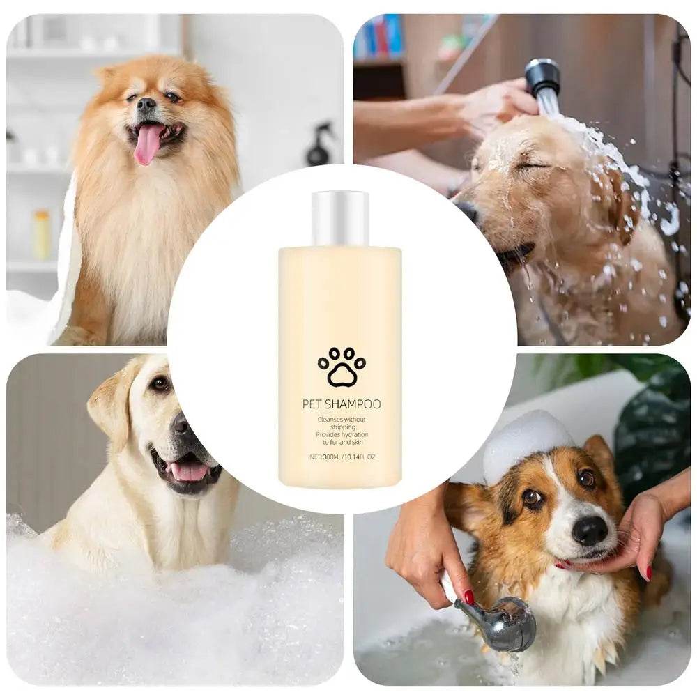 Find Your Nearest Pet Supplies Plus Store Location - Pet palace shop