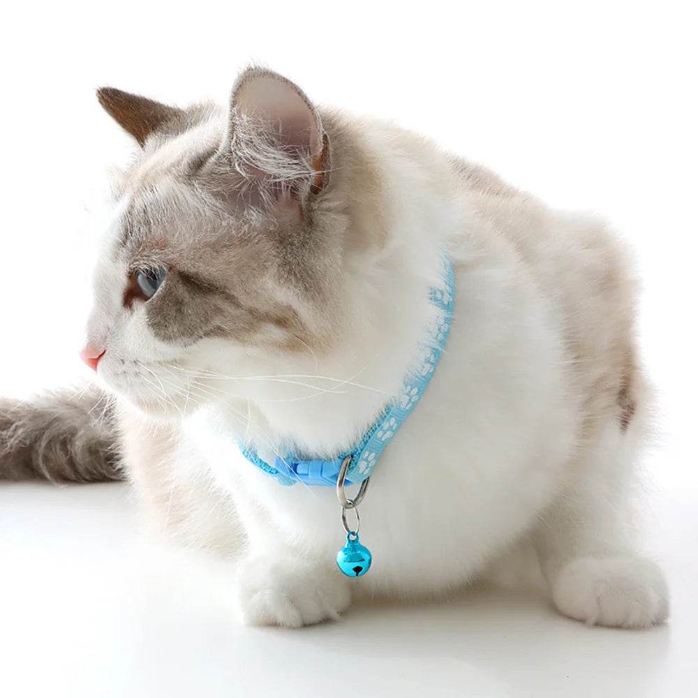 Discover Your Pet's Paradise: The Unmatched Perks of Shopping at Pet Palace - Pet palace shop