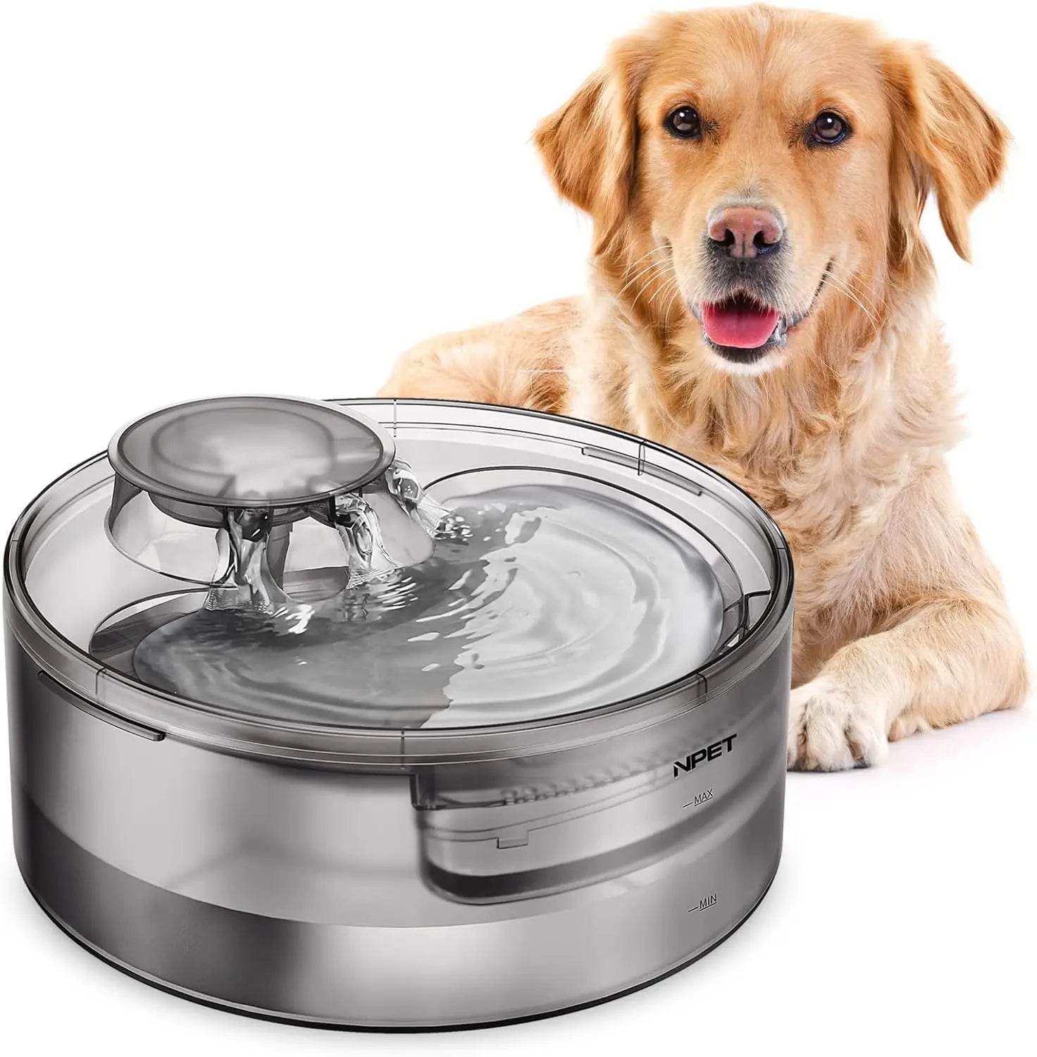 Nourish Your Pets with Organic Bliss at Pet Palace Shop - Pet palace shop