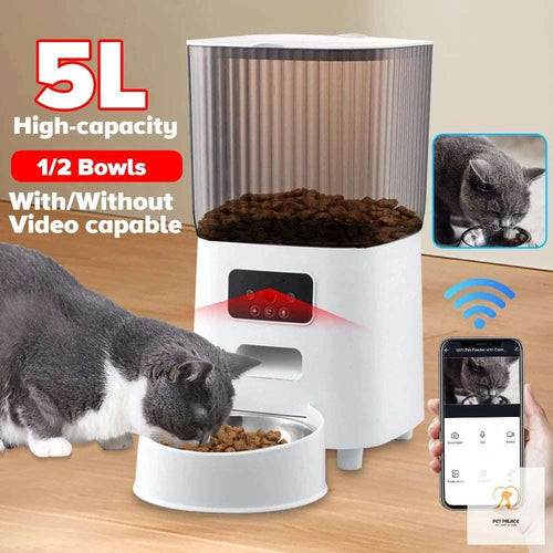 Automatic cat feeder