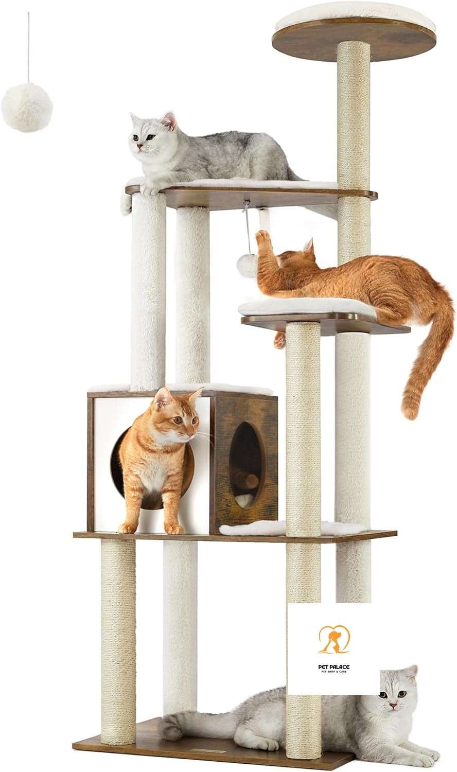 Finding the Perfect Cat Condo: Affordable Options at Your Local Pet Shop Pet palace shop