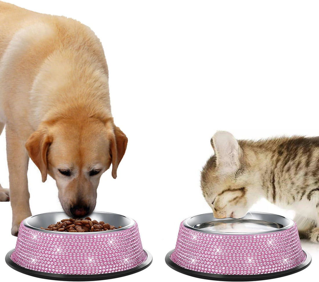 Top 5 Benefits of Organic Pet Food