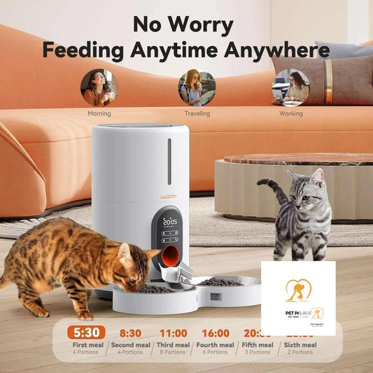 Pets at Home Automatic Feeders: The Best Options Reviewed