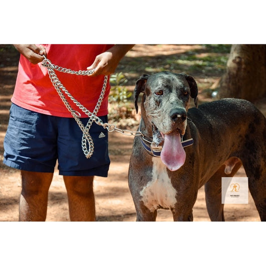 Thick Metal Dog Leashes: The Ultimate Guide for Large Dogs Pet palace shop