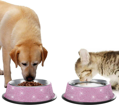 Top Tips for Choosing Organic Pet Food - Pet palace shop