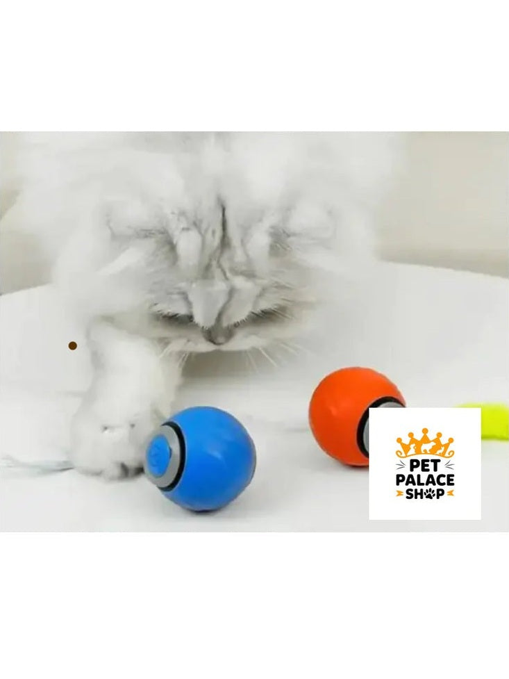 Pet Toys