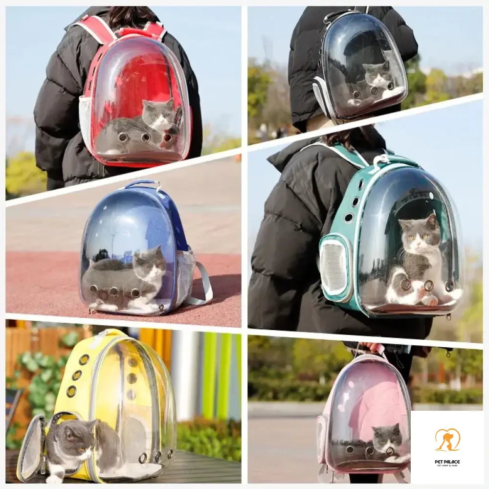 1Pcs Cat Bag Breathable Portable Pet Carrier Outdoor Travel Backpack For And Dog Transparent Space