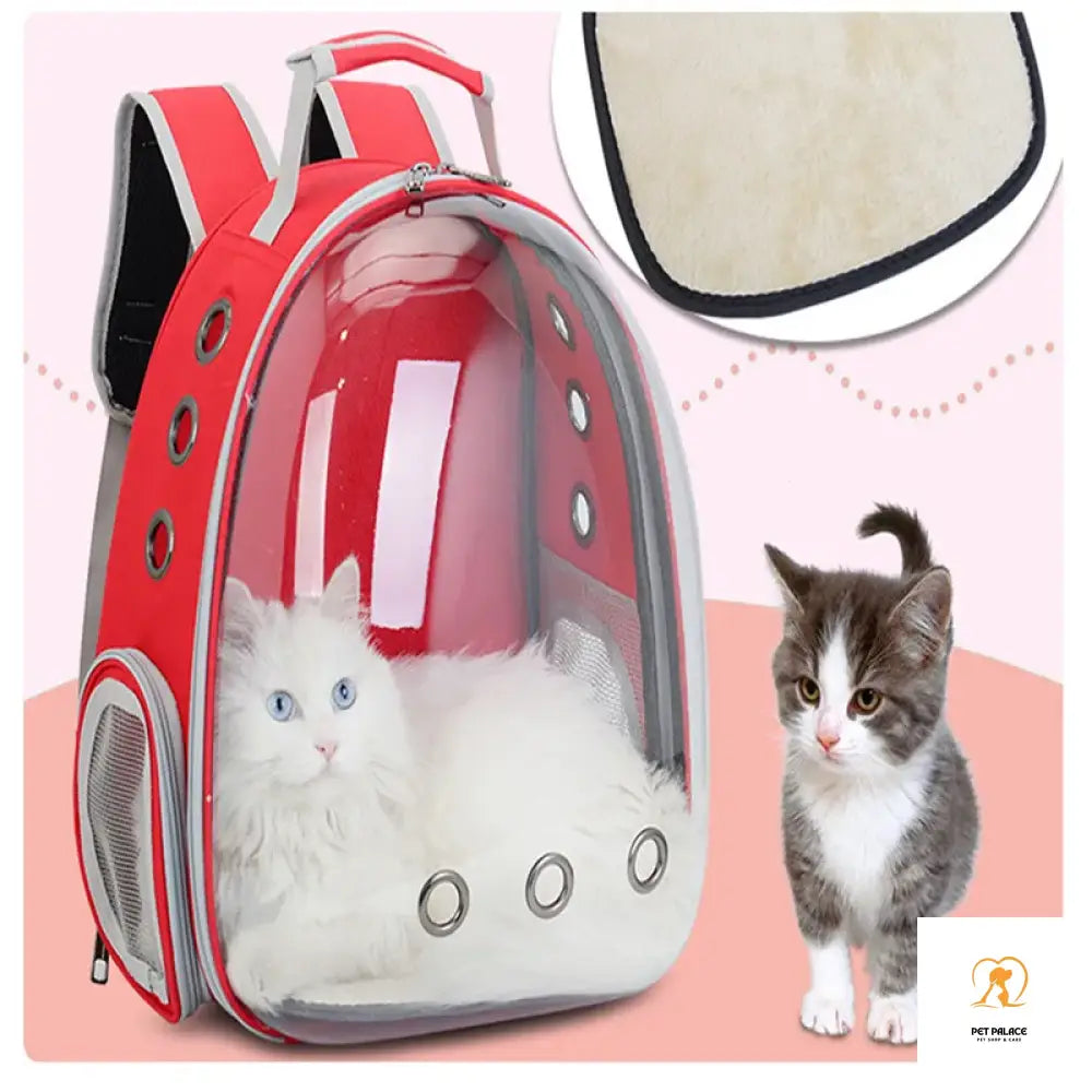 1Pcs Cat Bag Breathable Portable Pet Carrier Outdoor Travel Backpack For And Dog Transparent Space