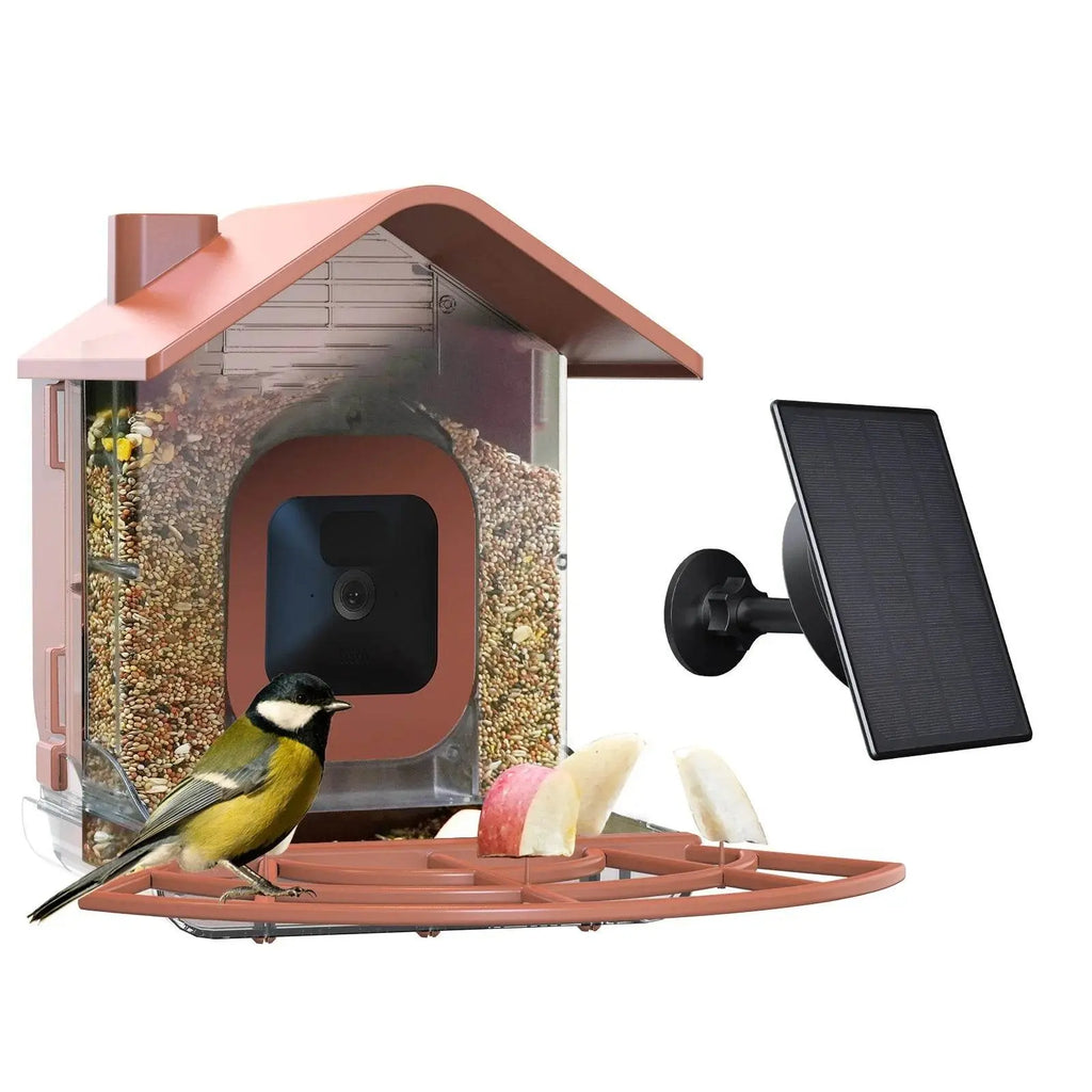 Bird Feeder with Camera Cases and Solar Panel