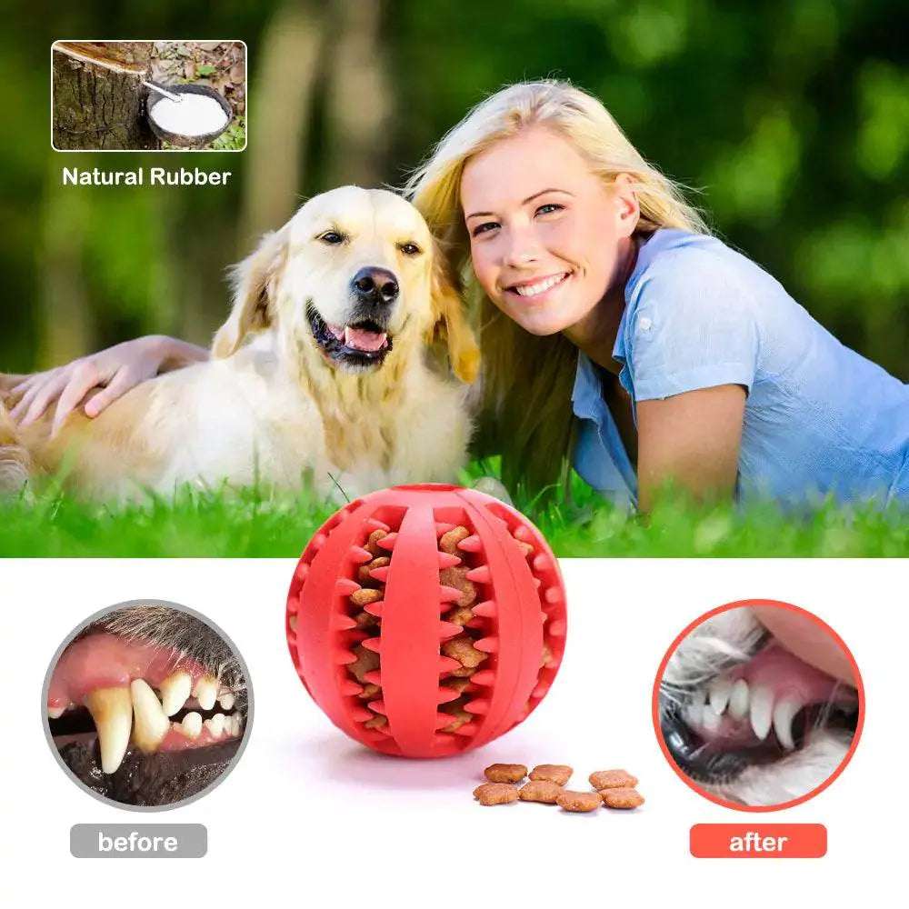 Dog Chew Toy Pet palace shop