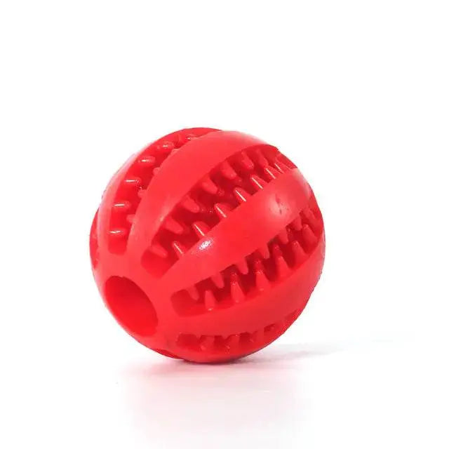 Dog chew toy Pet palace shop