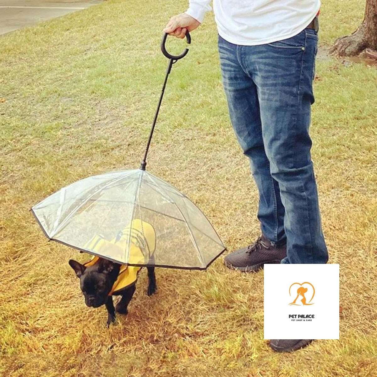 ATUBAN Dog Umbrella with Leash for Small Pets, Umbrella for Dogs Fits 20” Back Length Pets,J-Shape Handle,Clear Umbrella Surface-Pet palace shop