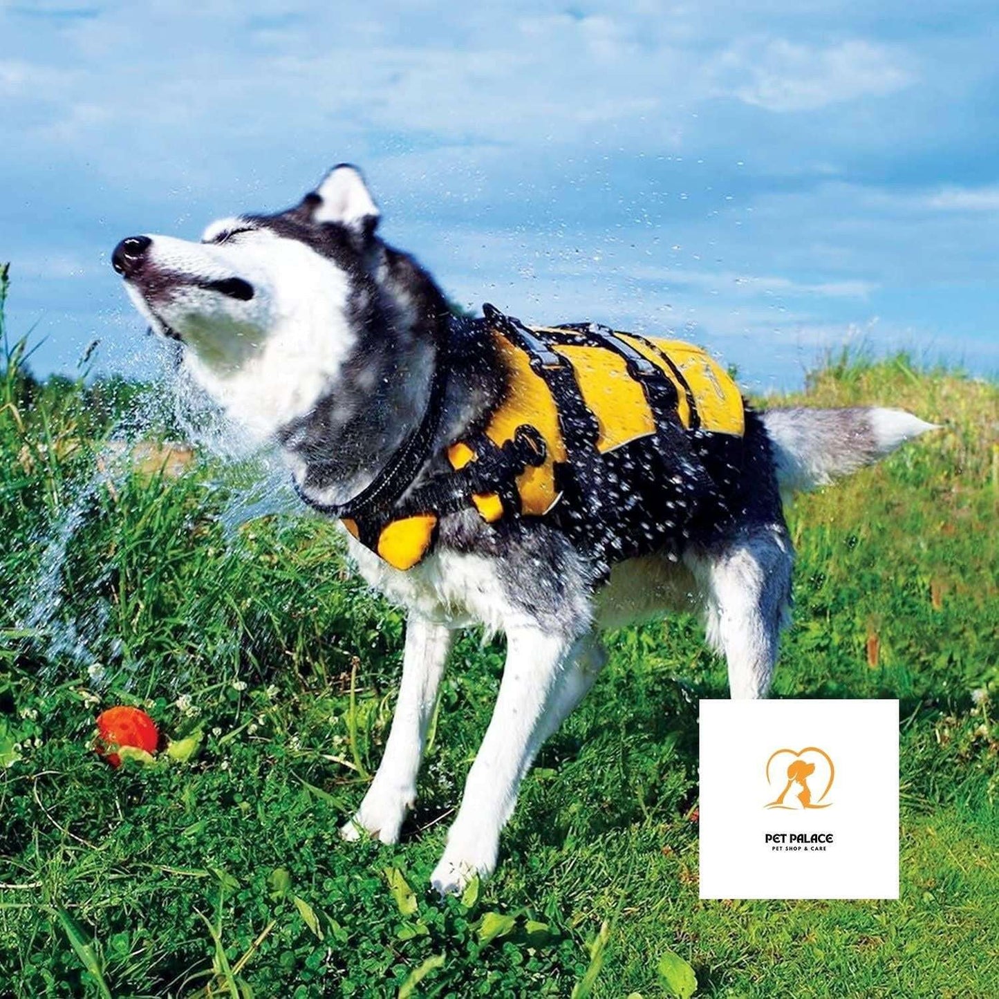 Doggy Flotation Device Dog Life Vest Jacket (DFD) Pet palace shop