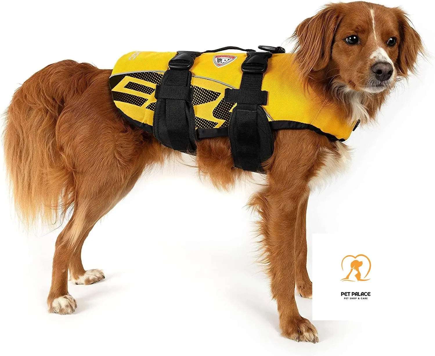 Doggy Flotation Device Dog Life Vest Jacket (DFD) Pet palace shop