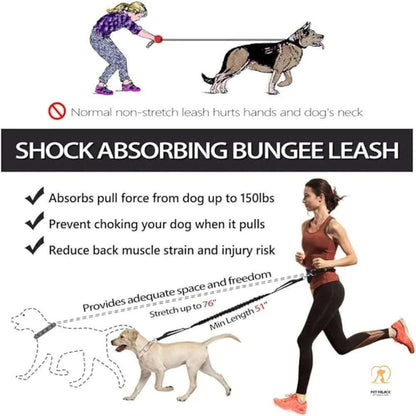 Hands-free Dog leash for running,walking, training,hiking,double handle reflective bungee,adjustable waist belt,shock absorption Pet palace shop