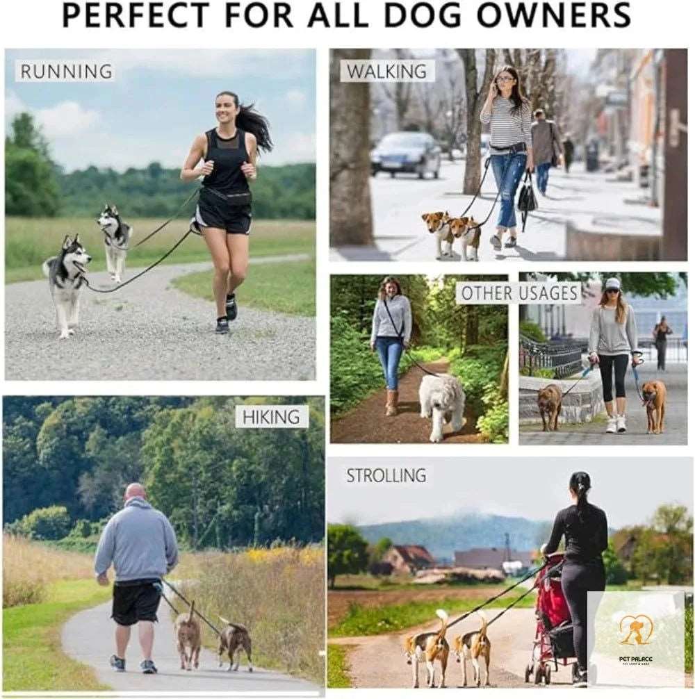 Hands-free Dog leash for running,walking, training,hiking,double handle reflective bungee,adjustable waist belt,shock absorption Pet palace shop