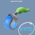 Speedy Tail Pet Toy Ball