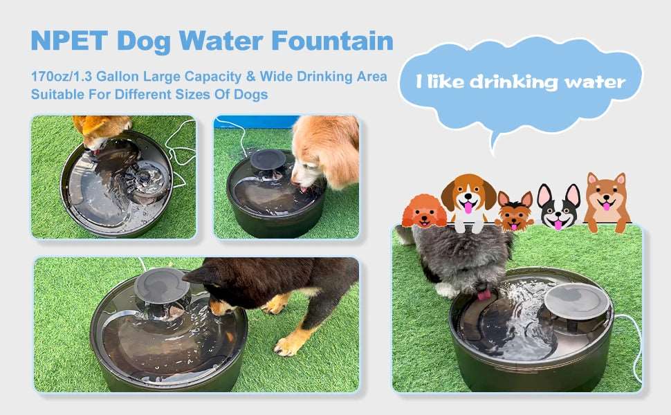 NPET DF10 Dog Water Fountain, 170oz/1.3Gallon/5L Large Automatic Pet Water Dispenser Dog Water Bowl for Cat, Dogs, Multiple Pets Pet palace shop