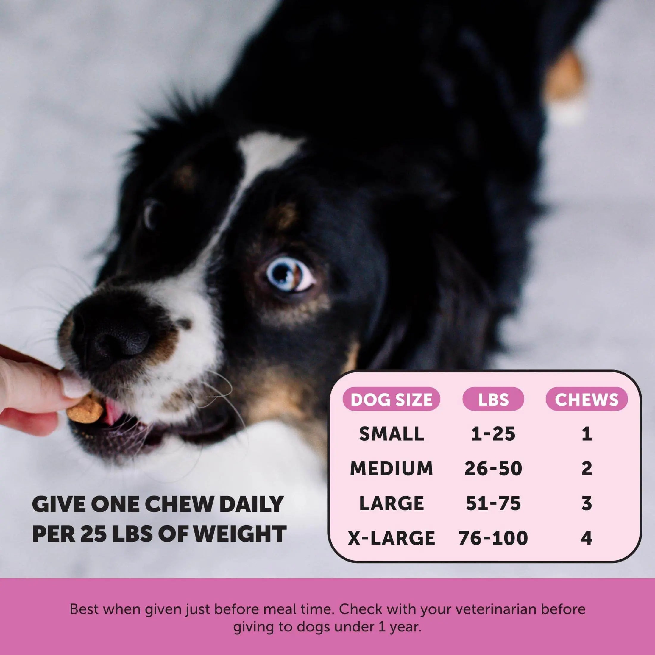 Pet Honesty Cat Multivitamin Crunchy & Creamy Chews - Cat Treats for Health + Immune, Cat Joint Support, Skin & Coat, & Digestion - Omega 3s, Lysine & Probiotic Cat Vitamins - 30 Day Supply Pet palace shop