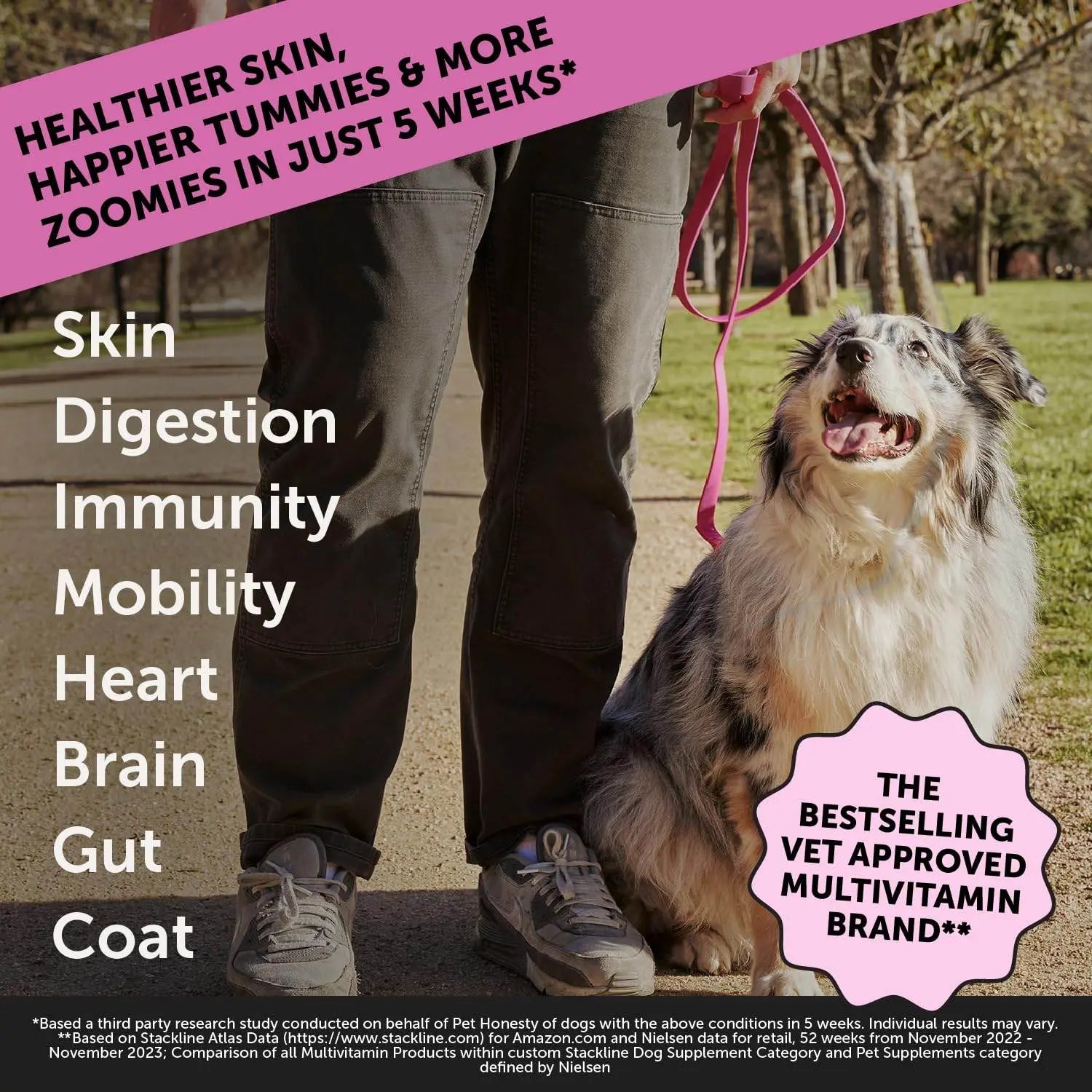 Pet Honesty Cat Multivitamin Crunchy & Creamy Chews - Cat Treats for Health + Immune, Cat Joint Support, Skin & Coat, & Digestion - Omega 3s, Lysine & Probiotic Cat Vitamins - 30 Day Supply Pet palace shop