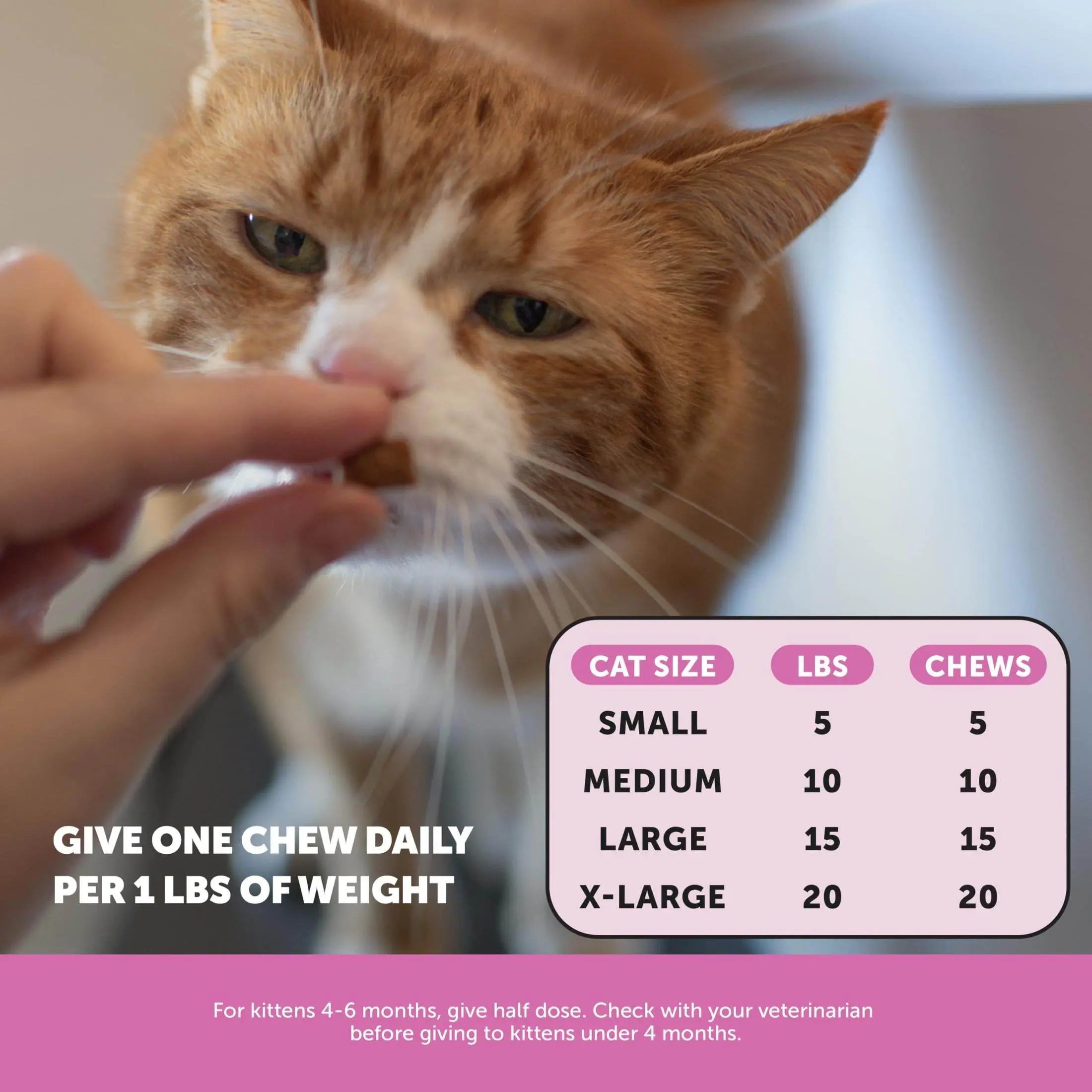 Pet Honesty Cat Multivitamin Crunchy & Creamy Chews - Cat Treats for Health + Immune, Cat Joint Support, Skin & Coat, & Digestion - Omega 3s, Lysine & Probiotic Cat Vitamins - 30 Day Supply Pet palace shop