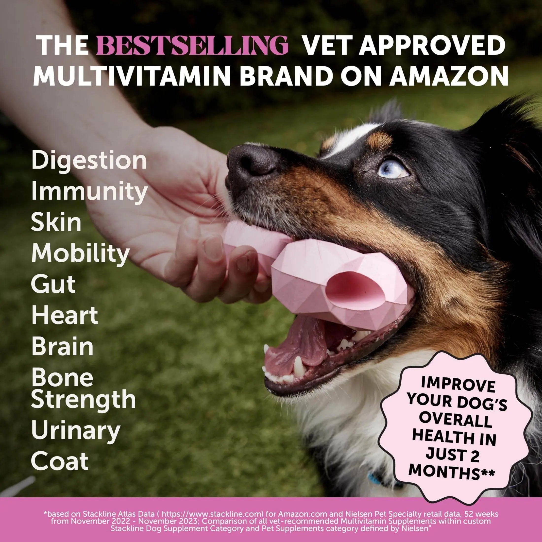 Pet Honesty Cat Multivitamin Crunchy & Creamy Chews - Cat Treats for Health + Immune, Cat Joint Support, Skin & Coat, & Digestion - Omega 3s, Lysine & Probiotic Cat Vitamins - 30 Day Supply Pet palace shop