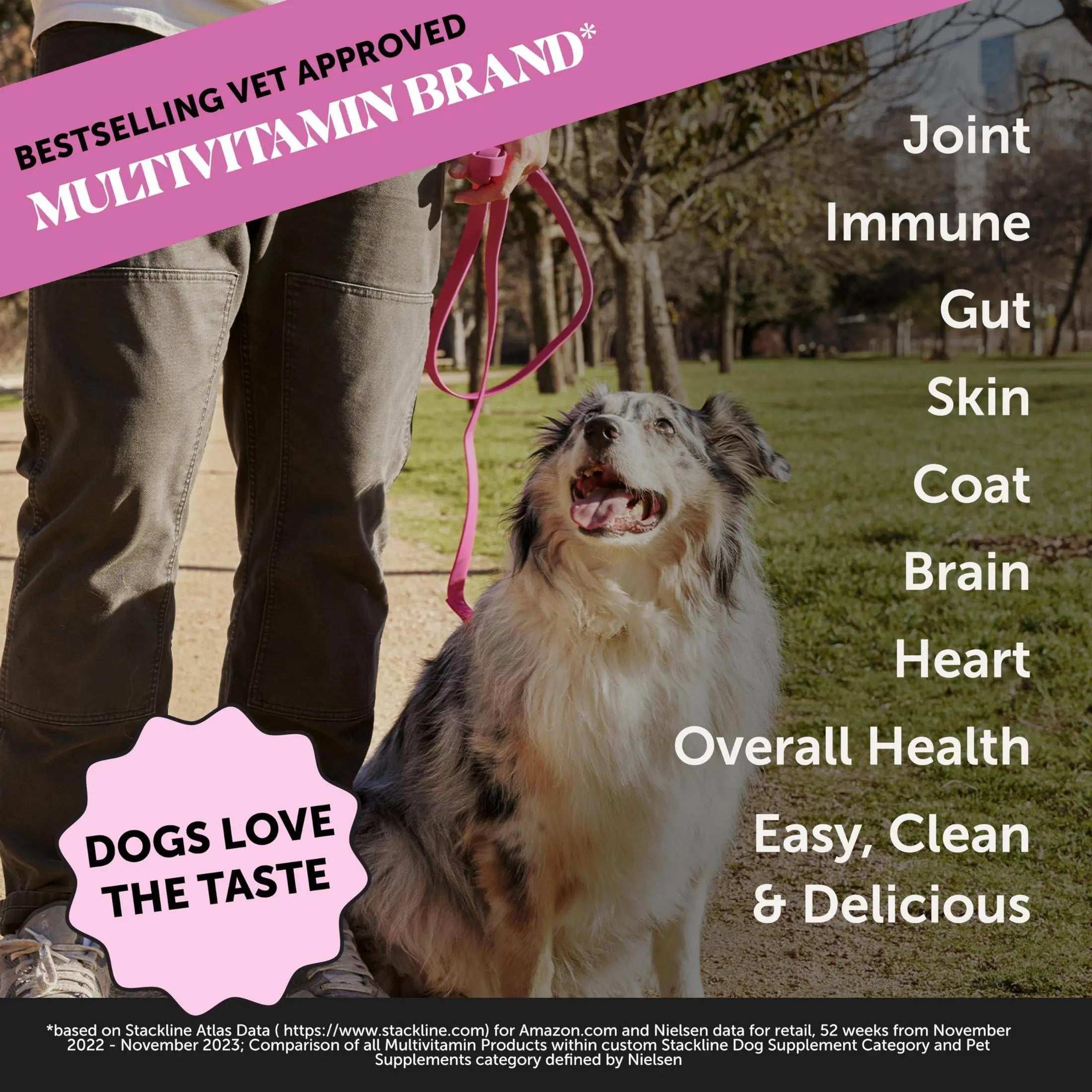 Pet Honesty Cat Multivitamin Crunchy & Creamy Chews - Cat Treats for Health + Immune, Cat Joint Support, Skin & Coat, & Digestion - Omega 3s, Lysine & Probiotic Cat Vitamins - 30 Day Supply Pet palace shop