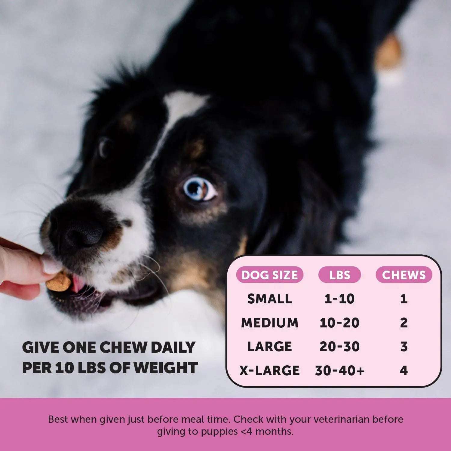 Pet Honesty Cat Multivitamin Crunchy & Creamy Chews - Cat Treats for Health + Immune, Cat Joint Support, Skin & Coat, & Digestion - Omega 3s, Lysine & Probiotic Cat Vitamins - 30 Day Supply Pet palace shop