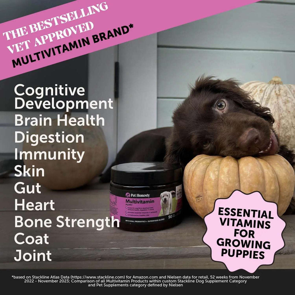 Pet Honesty Cat Multivitamin Crunchy & Creamy Chews - Cat Treats for Health + Immune, Cat Joint Support, Skin & Coat, & Digestion - Omega 3s, Lysine & Probiotic Cat Vitamins - 30 Day Supply Pet palace shop