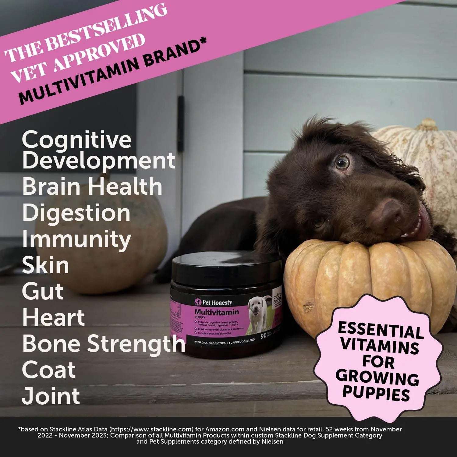 Pet Honesty Cat Multivitamin Crunchy & Creamy Chews - Cat Treats for Health + Immune, Cat Joint Support, Skin & Coat, & Digestion - Omega 3s, Lysine & Probiotic Cat Vitamins - 30 Day Supply Pet palace shop