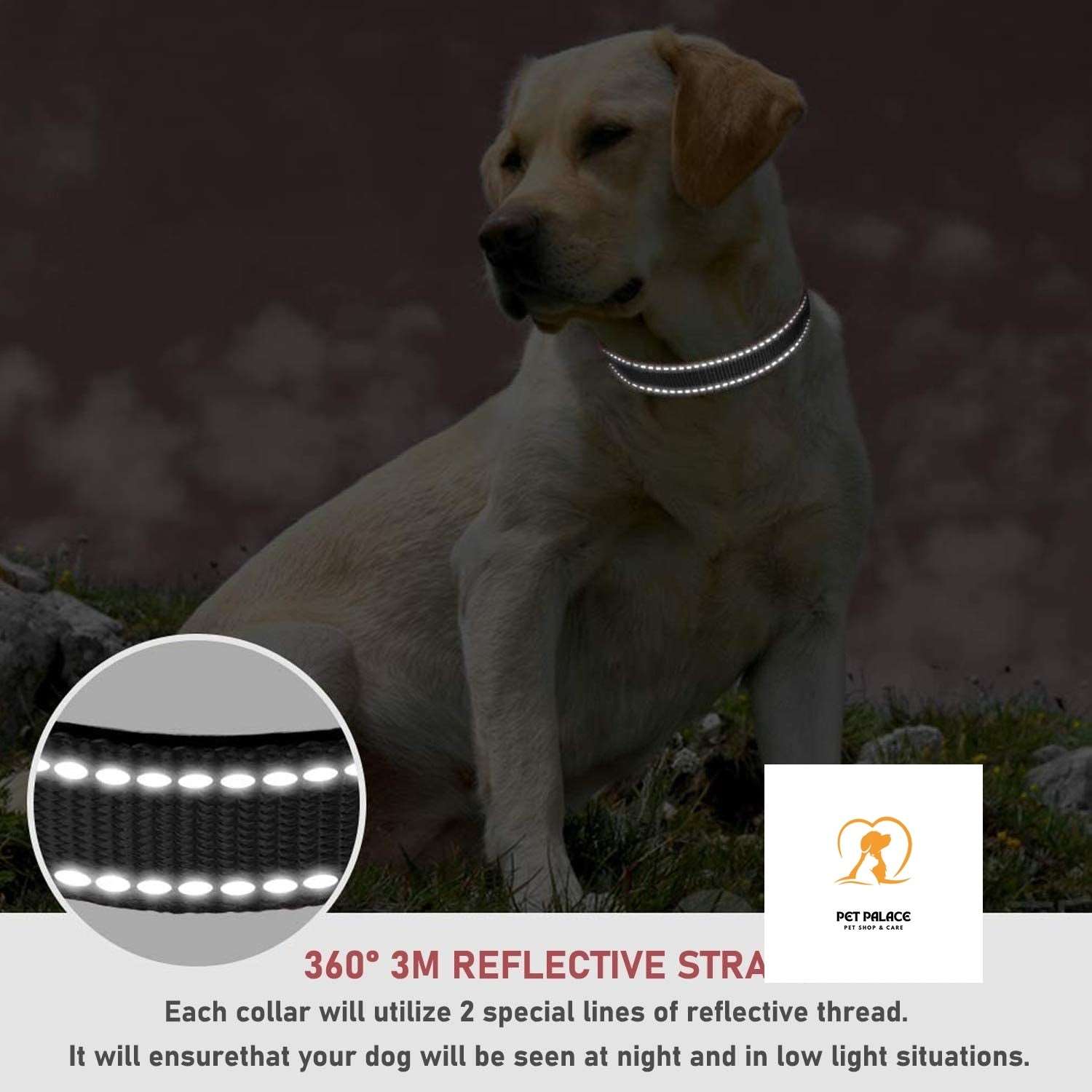 Reflective Dog Collar Strap With Adjustable Safety Nylon Pet Collar Pet Traction Rope Suitable For Small And Medium-Sized Pets Pet palace shop