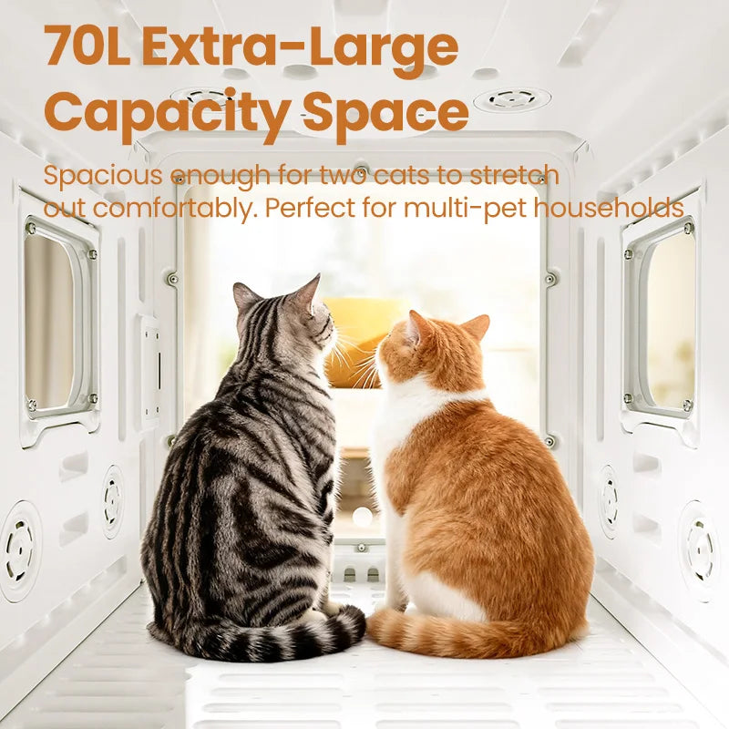 Secador de pelo para gatos, soplador de agua para perros de 1700 W/2000 W, máquina para bañar el pelo de mascotas, para animales pequeños y medianos