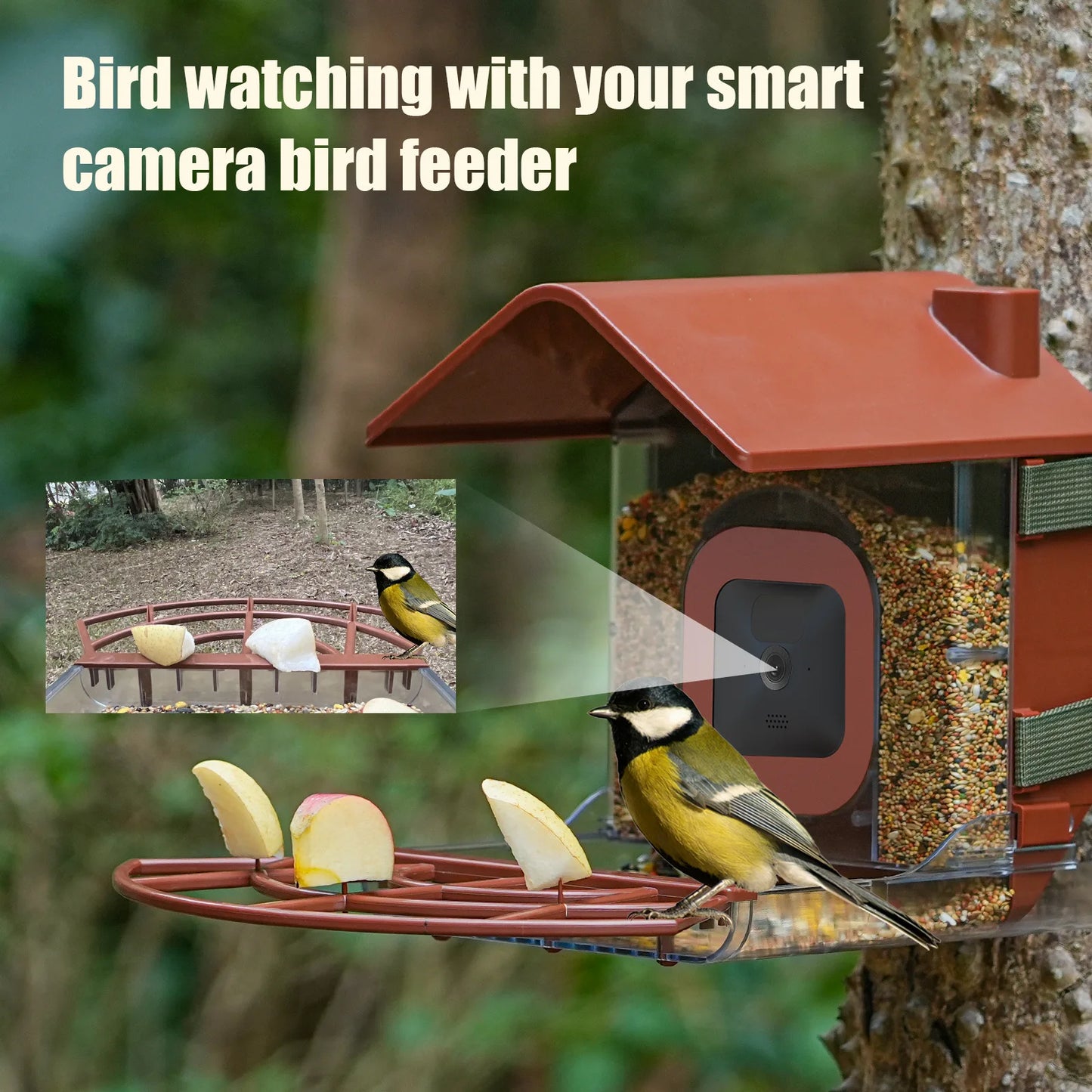 Bird Feeder with 4 Camera Cases Rechargeable Solar Panels Outdoor Bird Feeder