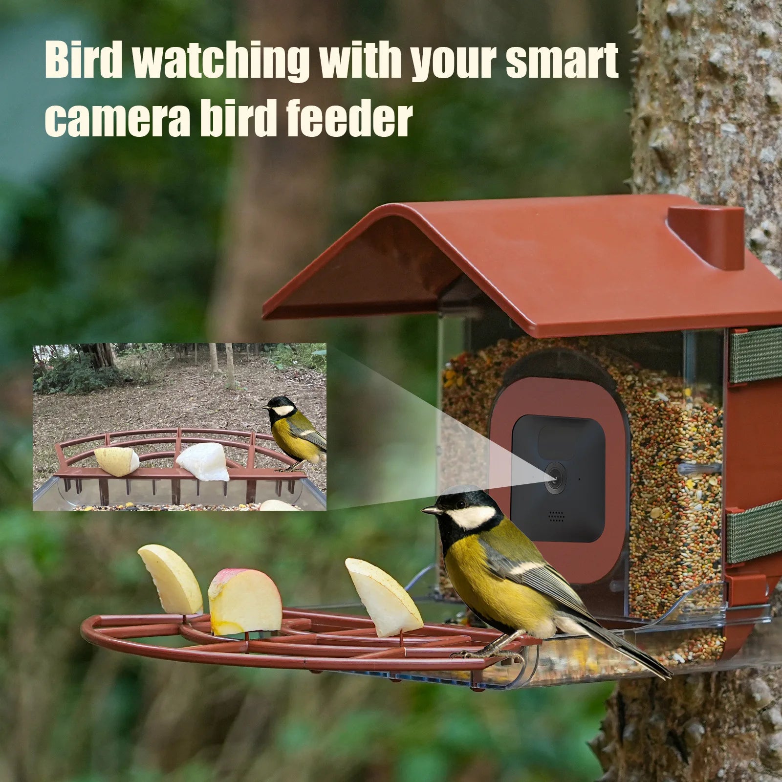 Bird Feeder with 4 Camera Cases Rechargeable Solar Panels Outdoor Bird Feeder