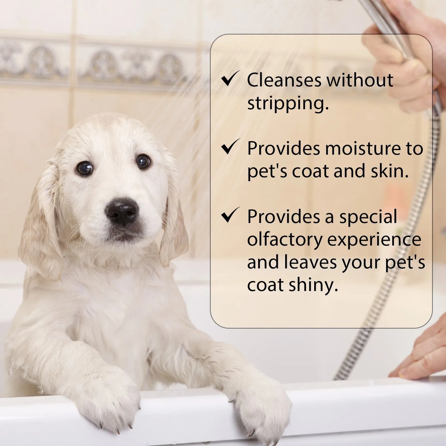 Pet Shampoo, Dog Shampoo And Coat Wash For Hydrating, Cleansing And Adding To Pet Hair-300ml Cama Para Perros Grande