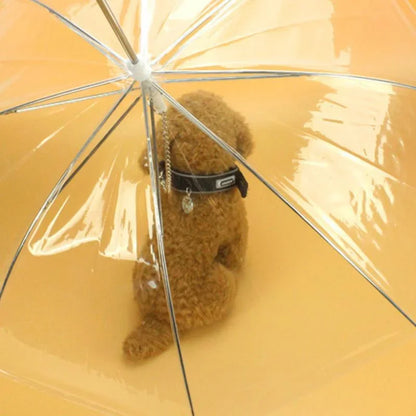 Creative Teddy Poodle Small Dogs Leading Umbrellas Walking Dogs Traveling Out Dogs Waterproof Poncho Pet Products