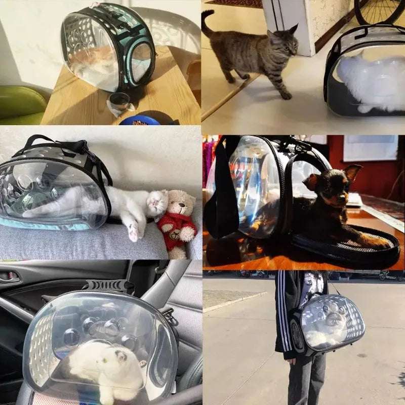 Portable Transparent Cat Carrier Backpack - Travel Pet Bag