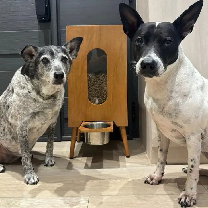 Wooden pet feeder grain storage cat and dog feeding moisture-proof healthy retro grain storage bucket