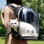 Portable Cat Bag Convenient for Outdoor Travel with Small Dog Universal Backpack