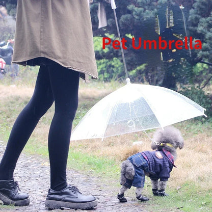 Creative Teddy Poodle Small Dogs Leading Umbrellas Walking Dogs Traveling Out Dogs Waterproof Poncho Pet Products