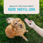 VetIQ Glucosamine Hip & Joint Supplement for Dogs, 180 Soft Chews, Dog Joint Support Supplement with MSM and Krill, Dog Health Supplies Large & Small Breed, Chicken Flavored Chewables Pet palace shop