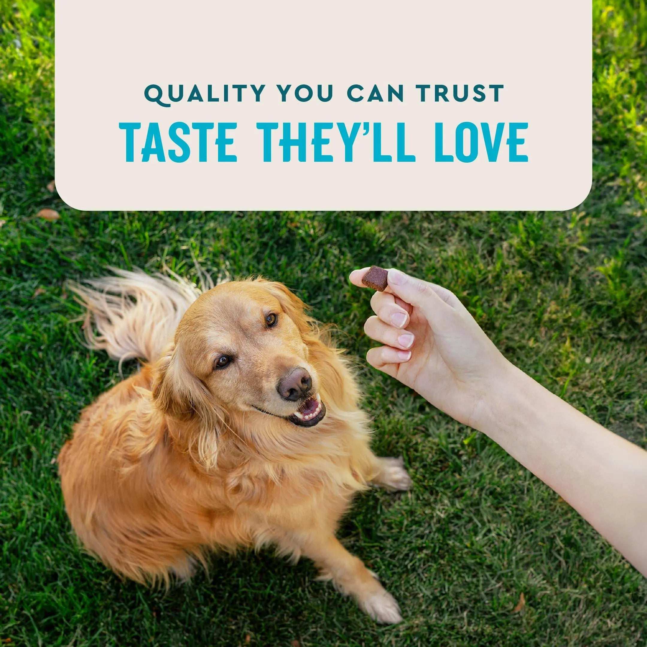 VetIQ Glucosamine Hip & Joint Supplement for Dogs, 180 Soft Chews, Dog Joint Support Supplement with MSM and Krill, Dog Health Supplies Large & Small Breed, Chicken Flavored Chewables Pet palace shop