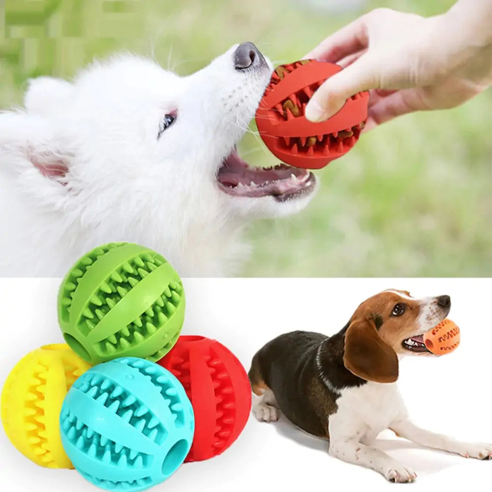 Snack dog toy