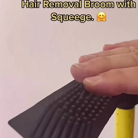 Broom Pet Hair Remover