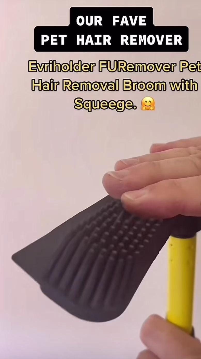 Broom Pet Hair Remover