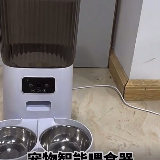 5L Automatic cat Feeder smart auto pet bowl APP with/without Camera Remote Control Large 5L dog 1/2 bowls cat Food Dispenser-Pet palace shop